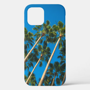 Funda Para iPhone 12 Perspectiva angular de un grupo de palmeras altas