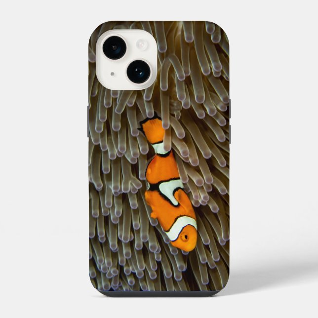 Funda Para iPhone Pescado, coral, subacuático (Reverso )
