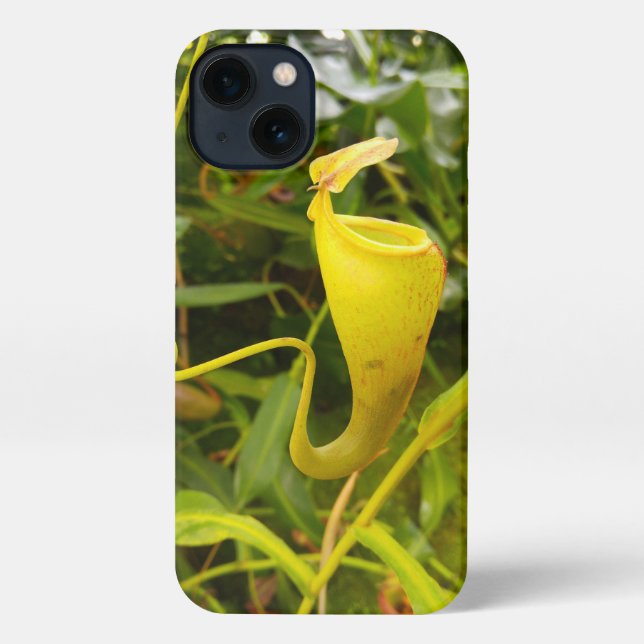 Funda Para iPhone Pitcher Plant Nepenthes Carnivorous Nature Photo (Reverso )