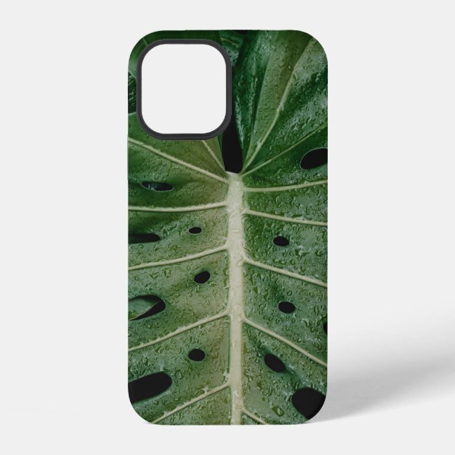 Funda Para iPhone Planta de hoja verde (Reverso )