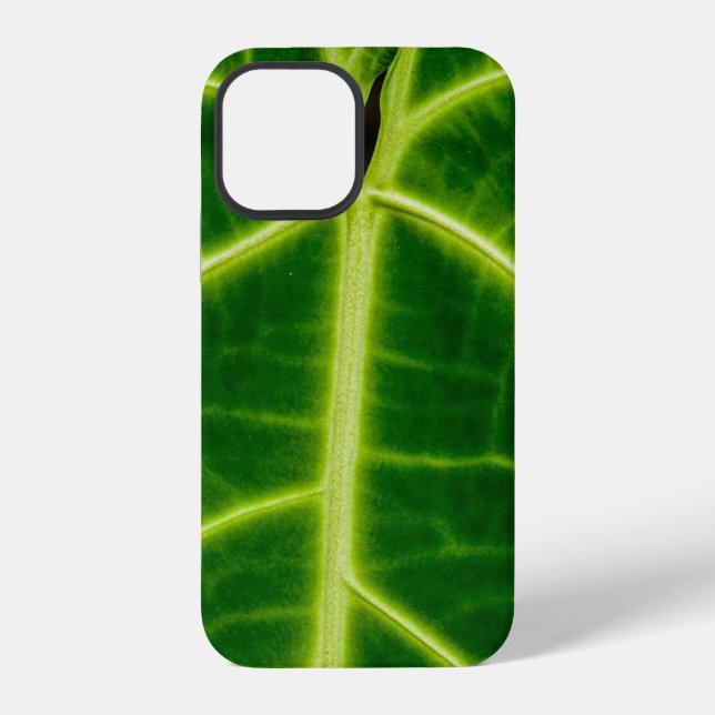Funda Para iPhone Planta de hojas verdes (Reverso )