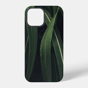 FUNDA PARA iPhone 12 PLANTA DE PLOMO VERDE