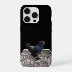 "Plumas de medianoche: una gallina negra en arte p