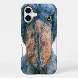 Funda Para iPhone 16 Plus Poder Primal 009 – Picozapato