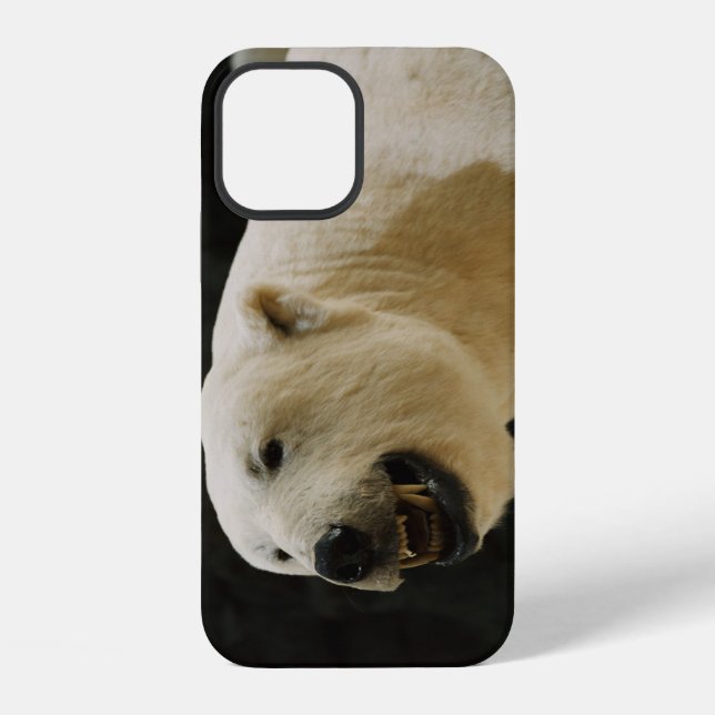 Funda Para iPhone Polar Bear Grin (Reverso )