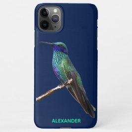 Funda Para iPhone 11Pro Max PRESUPUESTO Personalizado de Hummingbird Blue de $