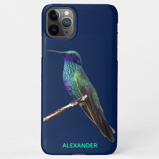 Funda Para iPhone PRESUPUESTO Personalizado de Hummingbird Blue de $ (Reverso)