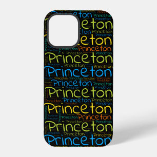 Funda Para iPhone 12 Pro Princeton