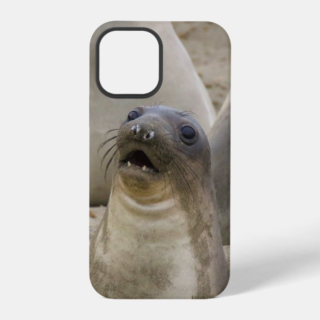FUNDA PARA iPhone ¿QUÉ??? (Reverso )