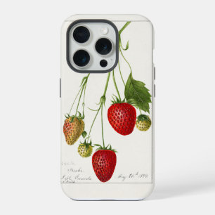 Rama de fresas rojas vintage con follaje