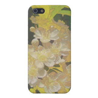 Funda Para iPhone 5 Rapsodia floral en oro y blanco