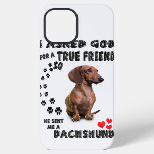 Funda Para iPhone 12 Pro Max Regalo de Dachshund Miniatura, Perro Salchicha, We