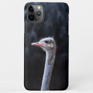 Funda Para iPhone 11Pro Max retrato de avestruz