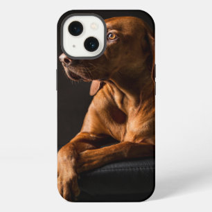 Retrato de Golden Retriever de pura raza