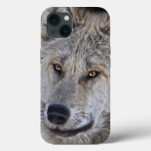 Retrato de vida silvestre de lobo blanco en el Árt
