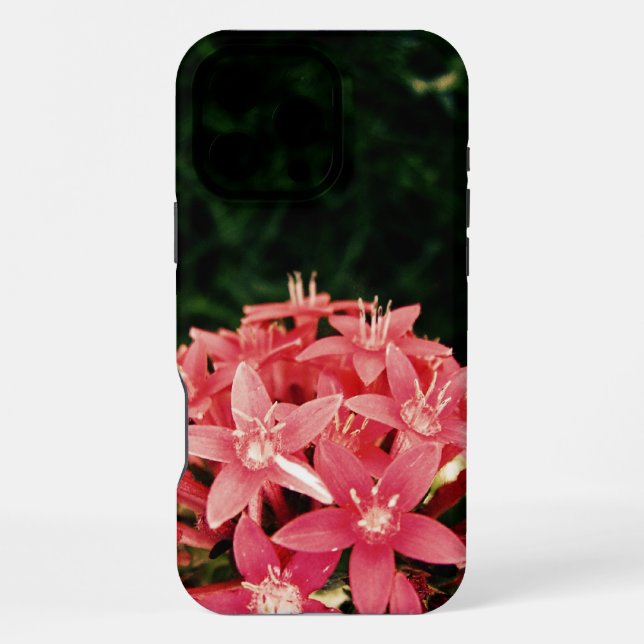 Funda Para iPhone Rosa (Reverso )
