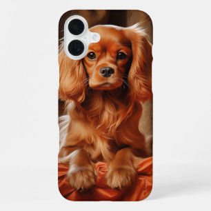 Funda Para iPhone 16 Plus Ruby Cavalier King Charles Spaniel