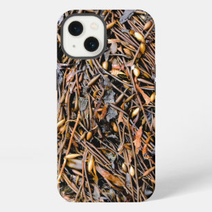 Seaweed