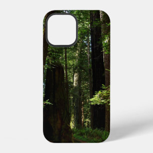 Funda Para iPhone 12 Secuoyas y helechos en el Parque Nacional Redwood