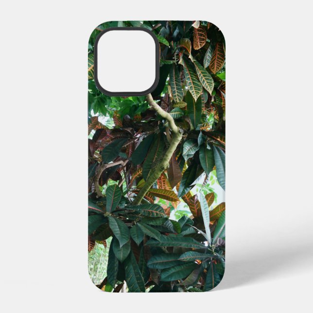 Funda Para iPhone Selva Tropical Verde (Reverso )
