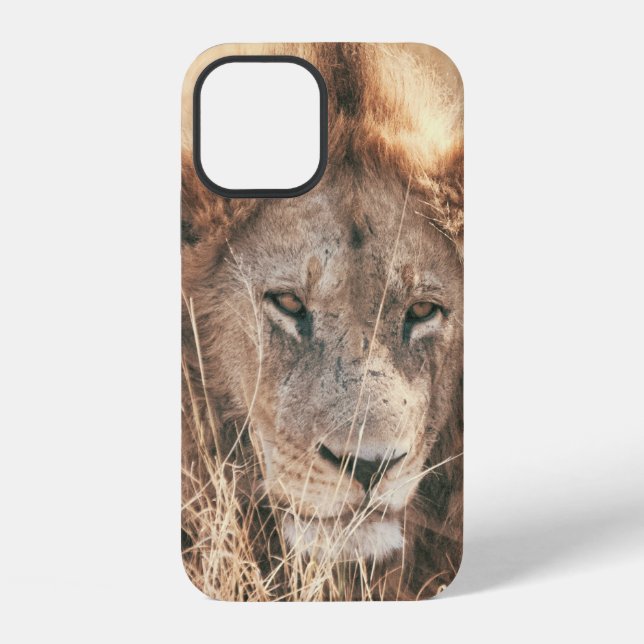 FUNDA PARA iPhone SR. LION KING (Reverso )