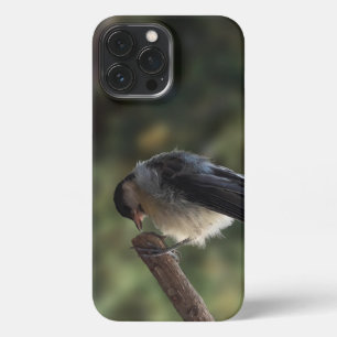 Funda Para iPhone 13 Pro Max Tidi my Bird the Parus Major