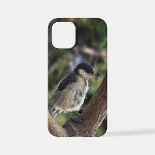 Funda Para iPhone 12 Mini Tidi my Bird the Parus Major