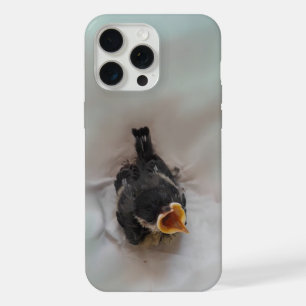 Tidi my Bird the Parus Major