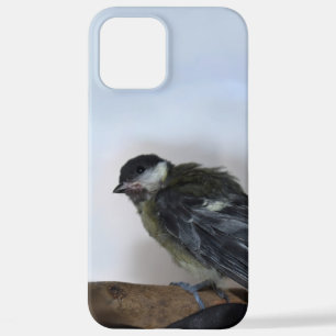 Funda Para iPhone 12 Pro Max Tidi my Bird the Parus Major