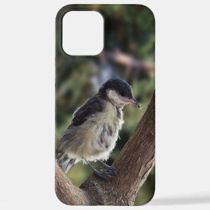 Funda Para iPhone 12 Pro Max Tidi my Bird the Parus Major