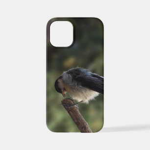 Funda Para iPhone 12 Mini Tidi my Bird the Parus Major