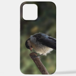 Funda Para iPhone 12 Pro Max Tidi my Bird the Parus Major