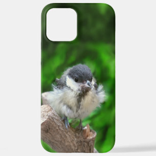 Funda Para iPhone 12 Pro Max Tidi my Bird the Parus Major