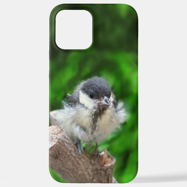 Funda Para iPhone Tidi my Bird the Parus Major (Reverso )