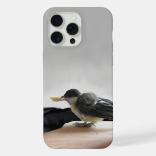Tidi my Bird the Parus Major