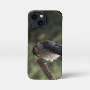 Funda Para iPhone 13 Mini Tidi my Bird the Parus Major
