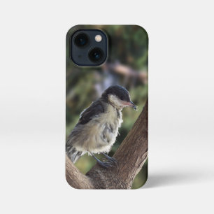 Funda Para iPhone 13 Mini Tidi my Bird the Parus Major