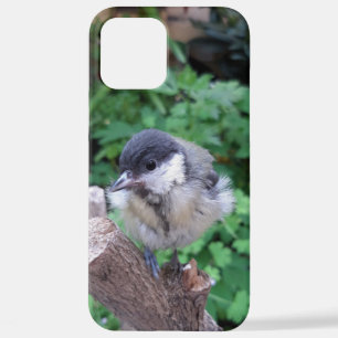 Funda Para iPhone 12 Pro Max Tidi my Bird the Parus Major