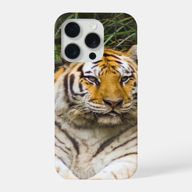 Funda Para iPhone Tigre de Siberia (Reverso )