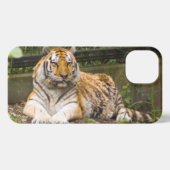 Funda Para iPhone Tigre de Siberia (Reverso Horizontal)