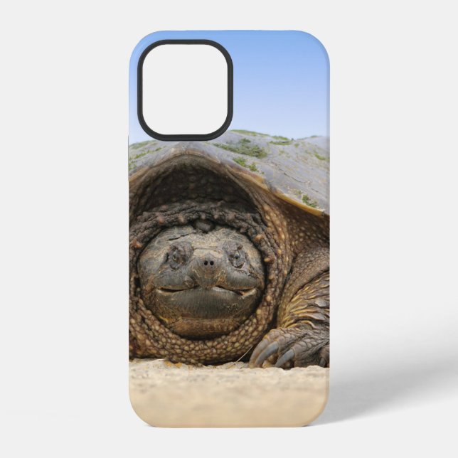 FUNDA PARA iPhone TORTUGA DE ARENA GRIS (Reverso )