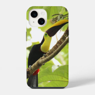 Funda Para iPhone 14 Tucán Exótico de Swainson