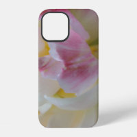 Tulipán rosa y blanco elegante