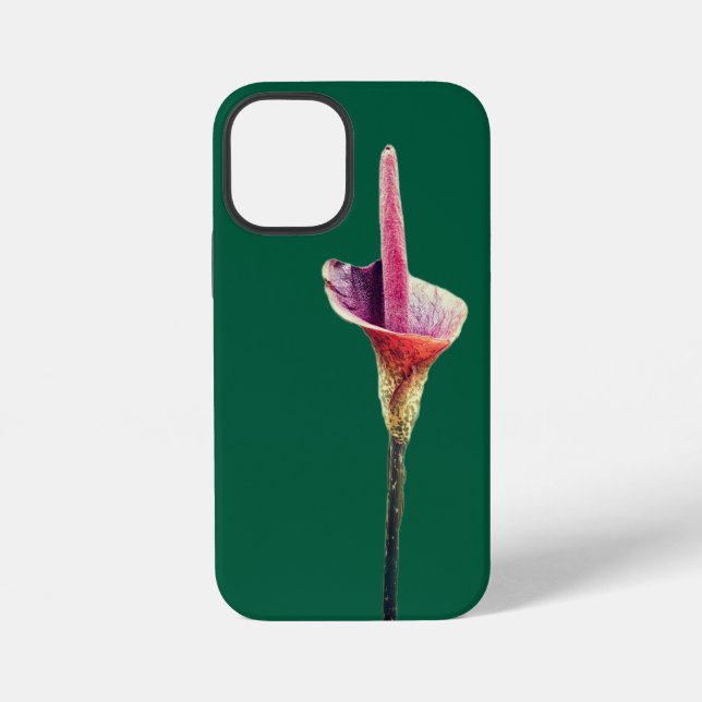 Funda Para iPhone Una flor de lirio de voodoo (Reverso )