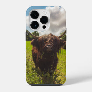Funda Para iPhone 14 Pro Vaca negra de las tierras altas pastando en un cam