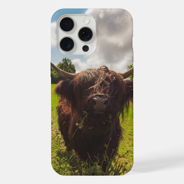 Funda Para iPhone Vaca negra de tierras altas pastoreando verde luz  (Reverso )