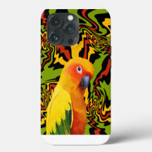 Vibrante colorido Sun Conure Parrot