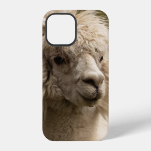 FUNDA PARA iPhone 12 VIENA VIENA AUSTRIA AUSTRIA ALPAKA LAMA ANIMAL