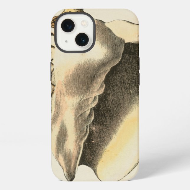 Funda Para iPhone Vintage Sepia Conch Shell (Reverso )
