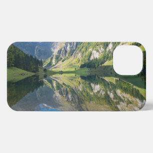 Water   Seealpsee Lake  Swiss Alps Switzerland